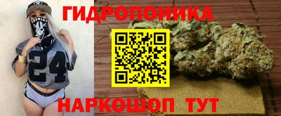 шишки Пыть-Ях