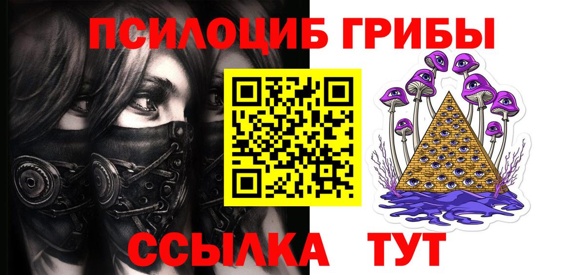 Галлюциногенные грибы Psilocybine cubensis Тольятти