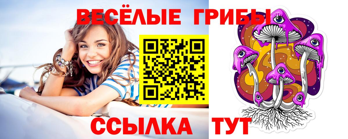 Галлюциногенные грибы Psilocybine cubensis  Псилоцибиновые грибы GOLDEN TEACHER  Тольятти  Вход с VPN 